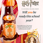 An ad for the Wizarding World of Harry Potter.